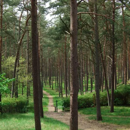 Achtern Dieck - Vakantiehuis