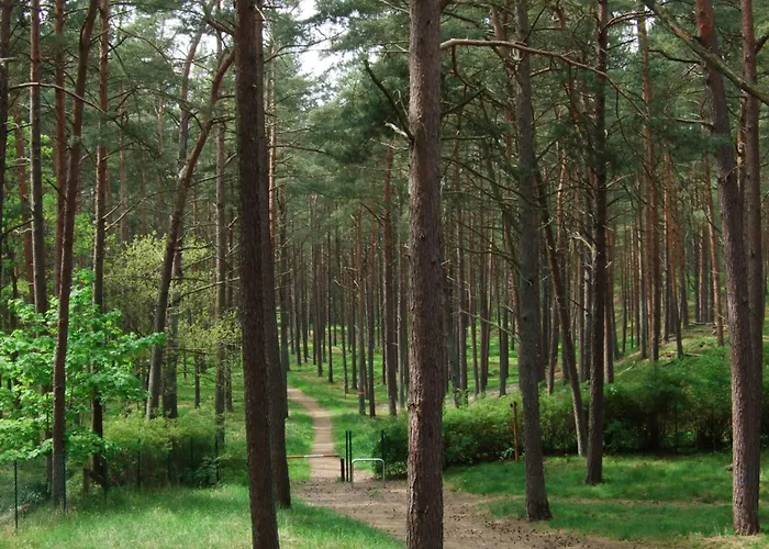 Achtern Dieck - Tatil Evi